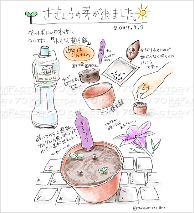 レシピイラスト 植物の育て方