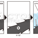 皮膚や歯などの構造イラスト制作例 書籍用イラスト制作例