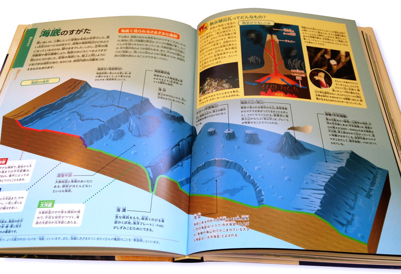 海底地形図のイラスト 子供向け理科系図鑑挿絵 イラスト制作例