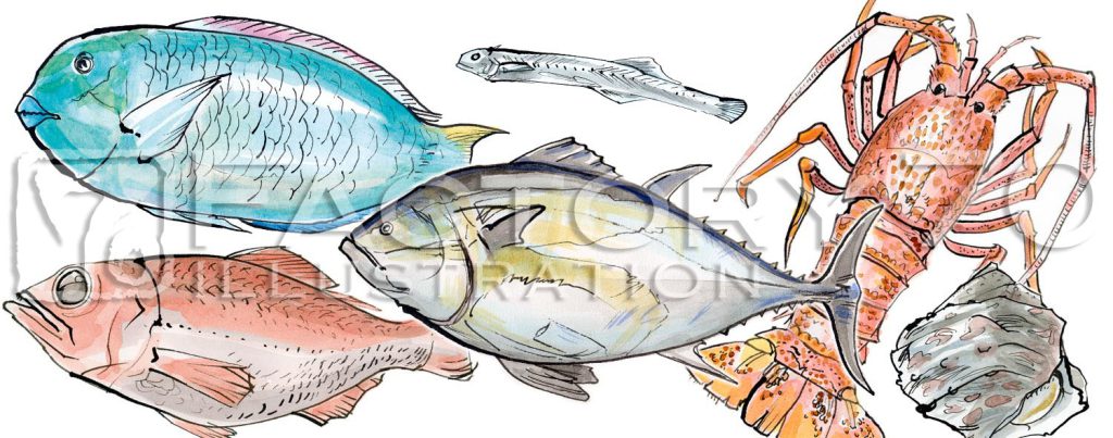 書籍イラスト制作例 食材のイラスト 水彩手描きイラスト 日本の魚、魚介類