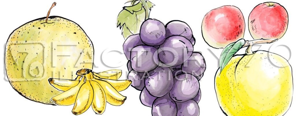 書籍イラスト制作例 食材のイラスト 水彩手描きイラスト 日本の果物