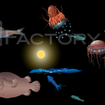 博物展図録用イラスト 発光する深海魚のイラスト