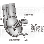 医学系実用書 解説図イラスト制作例