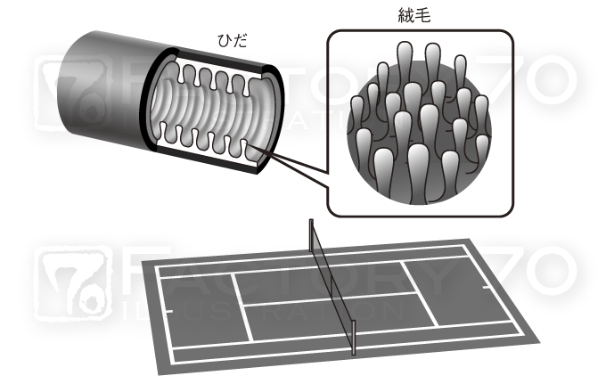 医学系実用書 解説図イラスト制作例